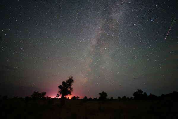 ▲大陸各地攝影愛好者拍下的2024英仙座流星雨瞬間。（圖／CFP）