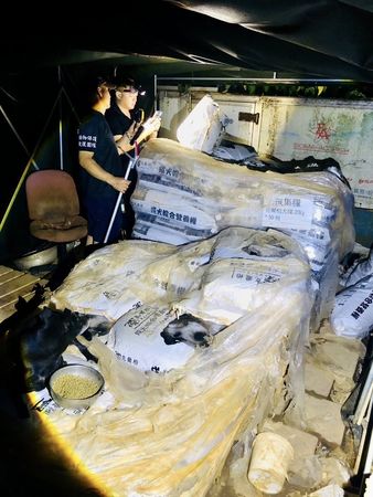 新竹狗園煉獄。（圖／翻攝自臉書「邵柏森-虎哥救援大小事」）