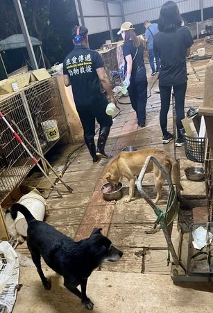 新竹狗園煉獄。（圖／翻攝自臉書「邵柏森-虎哥救援大小事」）