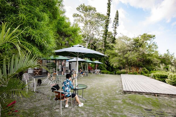 ▲▼月光小棧（女妖在說畫藝廊暨咖啡屋）。（圖／部落客黑皮的旅遊筆記授權提供）