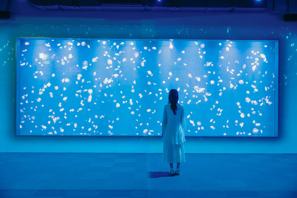 ▲台中海洋館將於8月21日啟動試營運。（圖／業者提供）