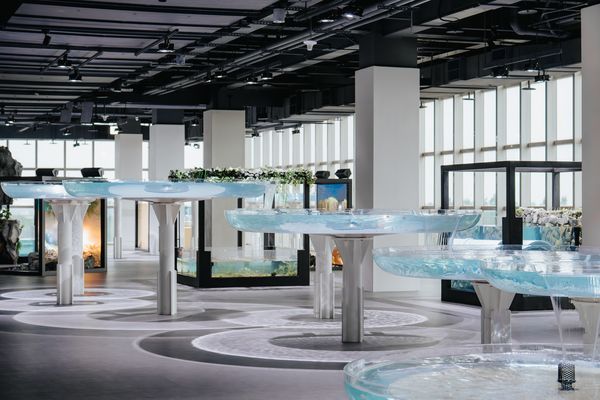 ▲台中海洋館將於8月21日啟動試營運。（圖／業者提供）