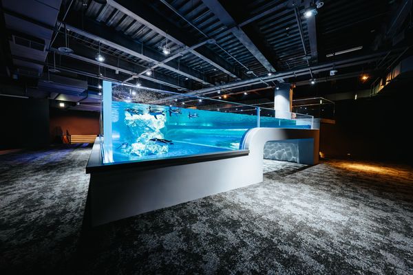 ▲台中海洋館將於8月21日啟動試營運。（圖／業者提供）