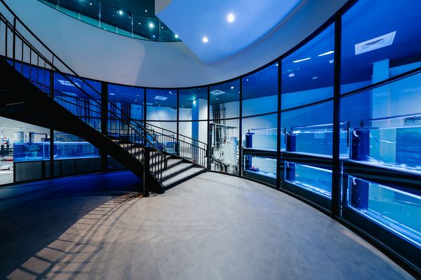 ▲台中海洋館將於8月21日啟動試營運。（圖／業者提供）