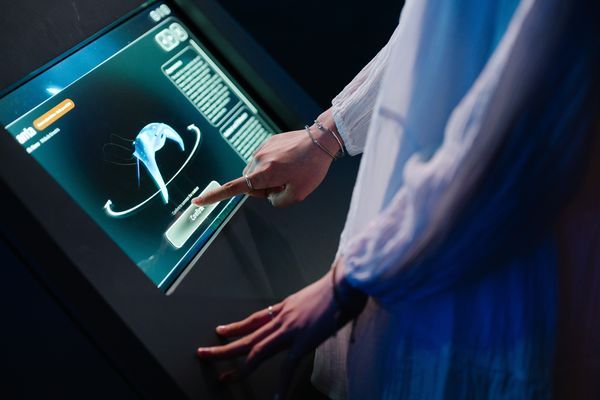 ▲台中海洋館將於8月21日啟動試營運。（圖／業者提供）