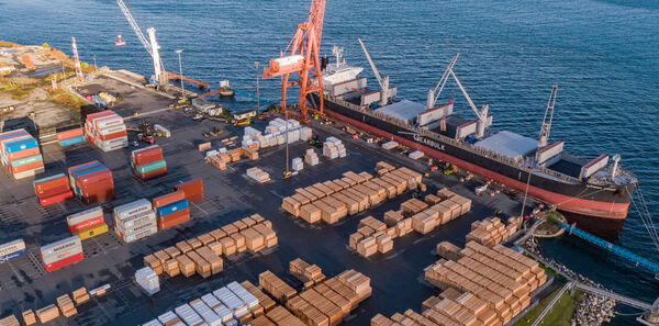 ▲納奈莫港杜克角區域(Duke Point Terminal) 。（圖／港務公司）