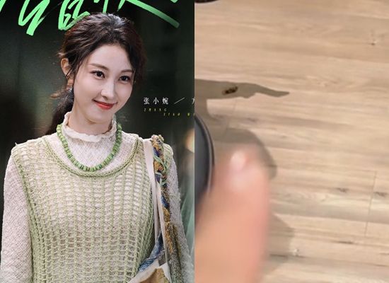 ▲張小婉懷疑快遞紙箱讓蟑螂入侵家中。（圖／翻攝自張小婉微博）