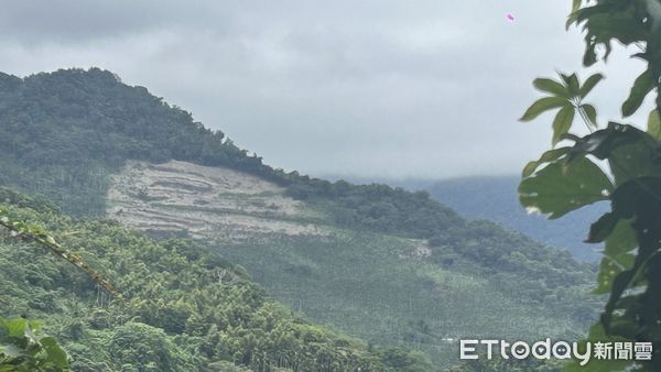 ▲卑南鄉山坡地案遭罰並移送地檢。（圖／記者楊晨東翻典攝）
