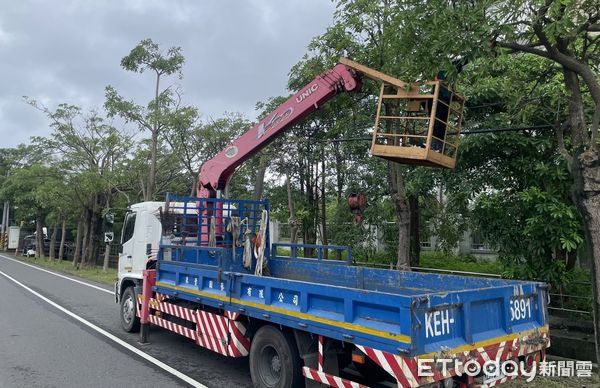 ▲▼楊柳將登陸穿台「高雄納首波警戒」　市府趕工修剪路樹防颱。（圖／記者賴文萱翻攝）