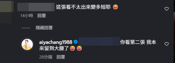 ▲▼愛雅。（圖／翻攝自Instagram／aiyachang1988）