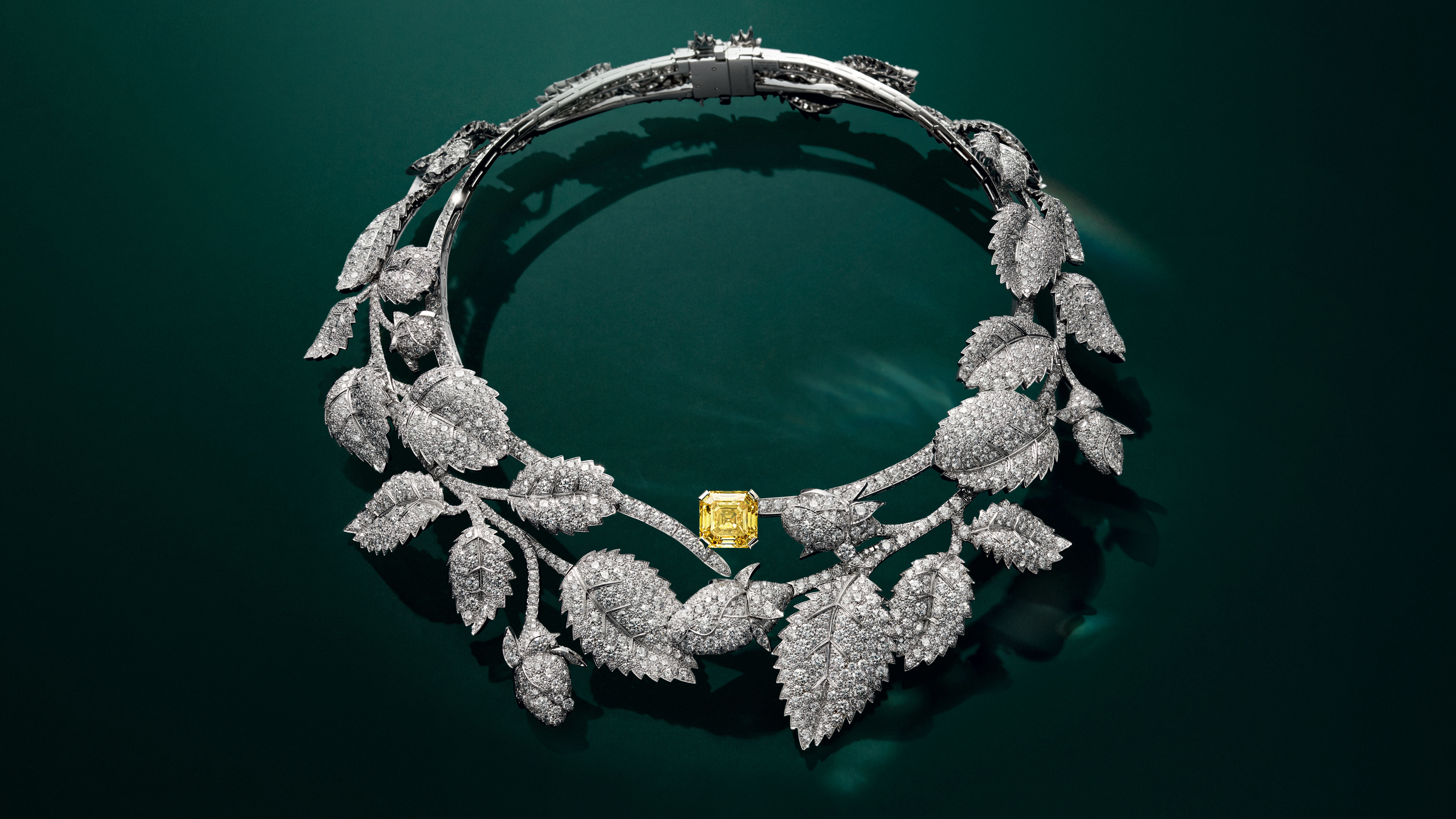 ▲▼    ＣＨＡＵＭＥＴ         。（圖／公關照）