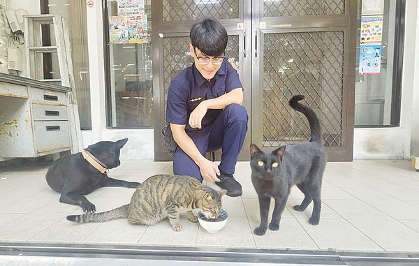 ▲桃園市大溪警分局榮華派出所位於偏遠山區，員警領養2隻小貓，長大後幫忙驅鼠抓蛇，協助守護同仁與洽公民眾安全。（圖／大溪警方提供）