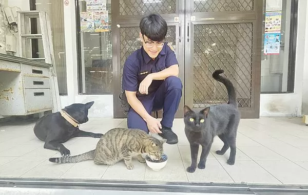 ▲桃園市大溪警分局榮華派出所位於偏遠山區，員警領養2隻小貓，長大後幫忙驅鼠抓蛇，協助守護同仁與洽公民眾安全。（圖／大溪警方提供）