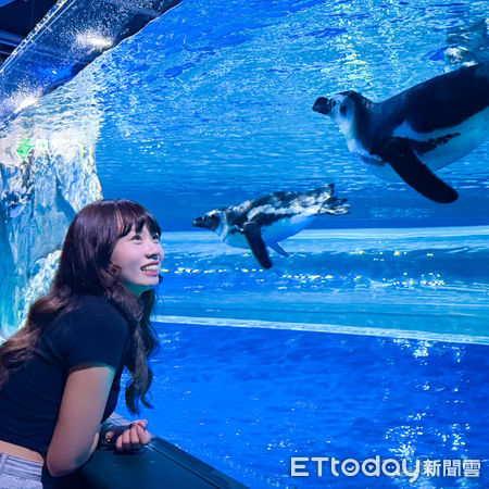 ▲台中海洋館。（圖／台中海洋館提供）