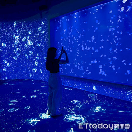 ▲台中海洋館。（圖／台中海洋館提供）