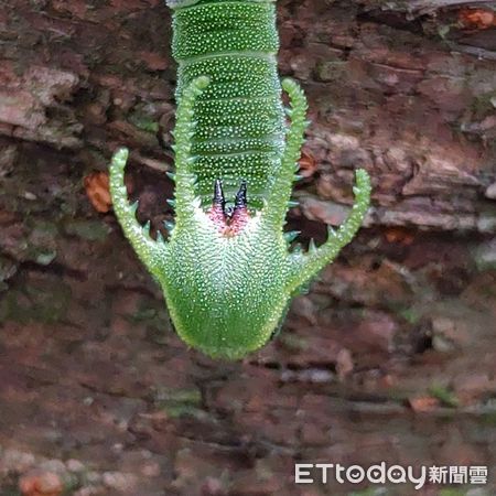 ▲。（圖／山友余小姐提供，請勿隨意翻拍，以免侵權。）