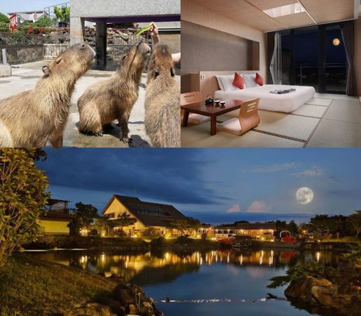 ▲中秋節入住綠舞可遊園、賞月。（圖／綠舞提供）