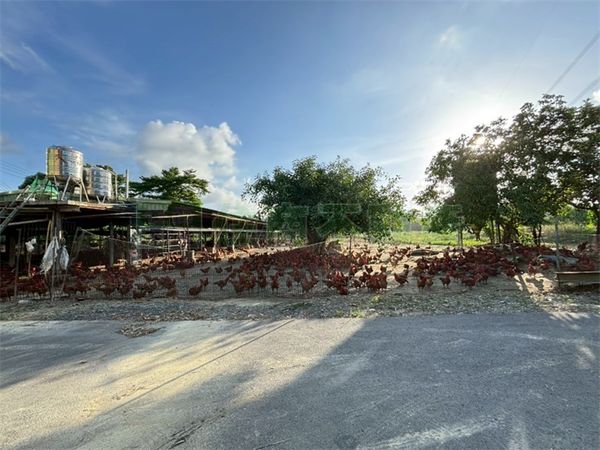 ▲▼             。（圖／記者張雅雲翻攝）