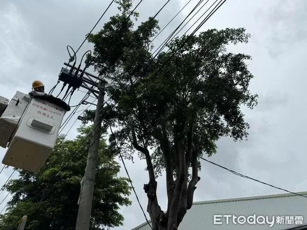 ▲▼ 楊柳還沒殺到！高雄4738戶「無預警大停電」　原因曝光。（圖／記者賴文萱翻攝）