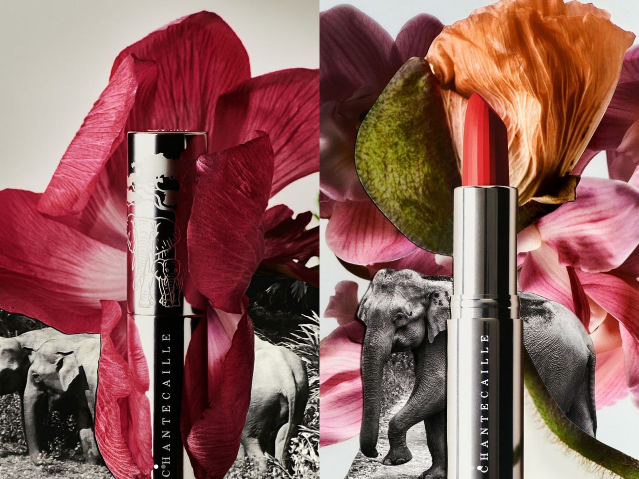 香緹卡,嬌蘭,唇膏,保育,環境,。（圖／記者李薇攝、品牌提供）