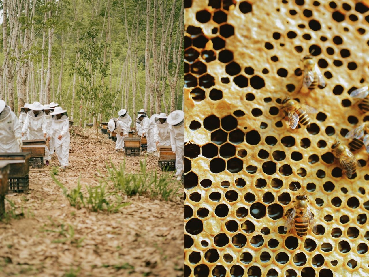 香緹卡,嬌蘭,唇膏,保育,環境,。（圖／記者李薇攝、品牌提供）