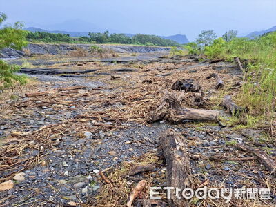 楊柳颱風即將登陸　林業保育署南投分署提醒：勿擅自撿拾漂流木