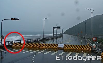 今日最CHILL!台東金崙大橋封閉 台灣獼猴1家4口悠閒觀浪