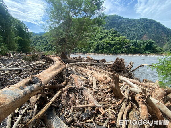 ▲楊柳颱風陸警發布，原漂流木自由撿拾公告即行失效。（圖／林業保育署南投分署提供）