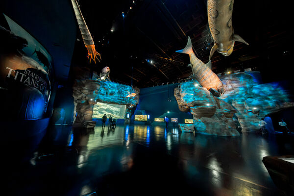 ▲S.E.A.海洋館擴建升級成新加坡海洋生態館，已於7月下旬重啟開幕，館區規模擴大三倍之多。（圖／聖淘沙名勝世界提供）