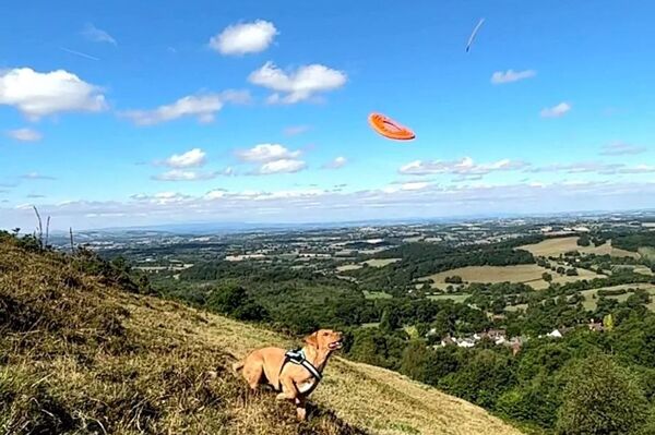 英國一名男子陪愛犬玩飛盤，意外拍到不明白色飛行物。（翻攝影片畫面）