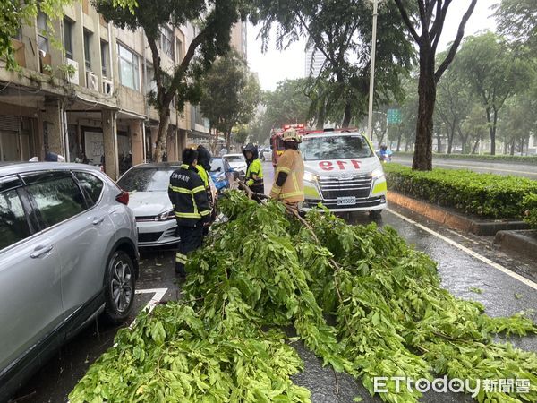 ▲狂風猛灌高雄！高雄一名女騎士衰被砸中。（圖／記者許宥孺翻攝）