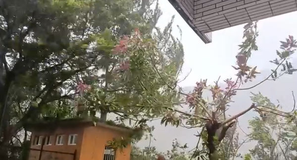 ▲▼桃源山區災情             。（圖／翻攝自石永貴臉書）