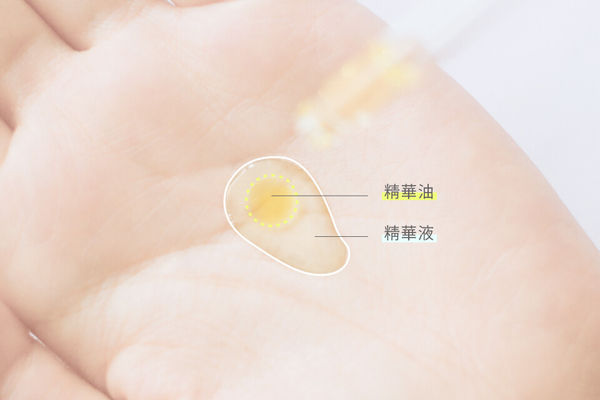 ▲▼夏季清爽無油非肌膚解方。（圖／品牌提供）