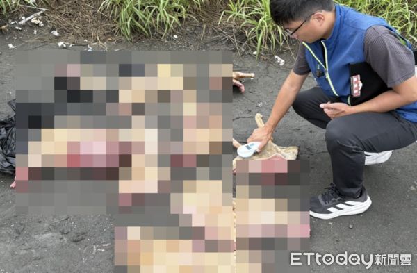 ▲浪浪慘遭毒手，雲林緝查65公斤狗肉。（圖／記者游瓊華翻攝）