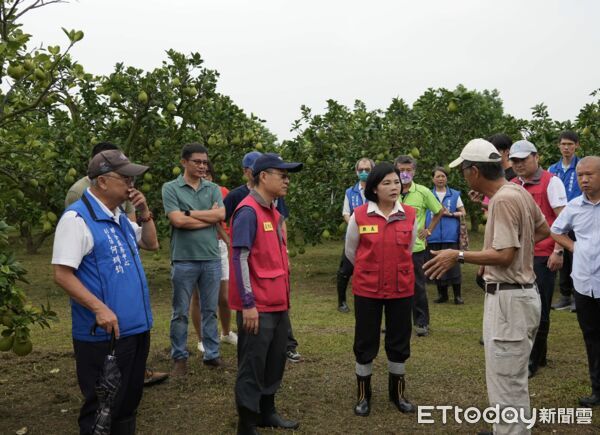 ▲颱風逼近！張麗善赴朱丹灣為文旦農打氣。（圖／記者游瓊華翻攝）