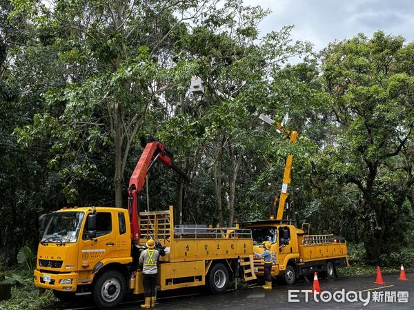 ▲台電雲林區營業處派員加強線路巡視維護，進行預防性礙子清洗、樹木修剪，減少樹木碰觸及毀損線路。（圖／記者游瓊華翻攝）