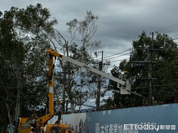 ▲台電雲林區營業處派員加強線路巡視維護，進行預防性礙子清洗、樹木修剪，減少樹木碰觸及毀損線路。（圖／記者游瓊華翻攝）