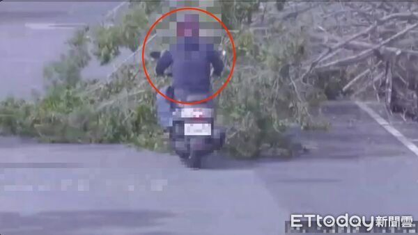 ▲▼三重路樹倒塌壓傷行經機車騎士，還波及2輛小客車             。（圖／記者陳以昇翻攝）