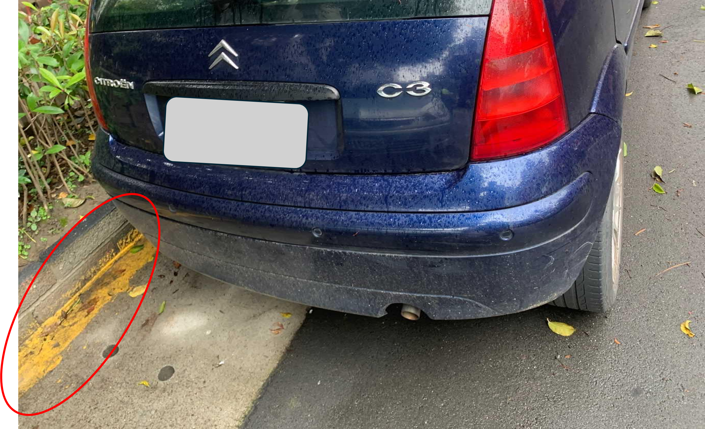 ▲▼             。（圖／新北市政府交通事件裁決處）