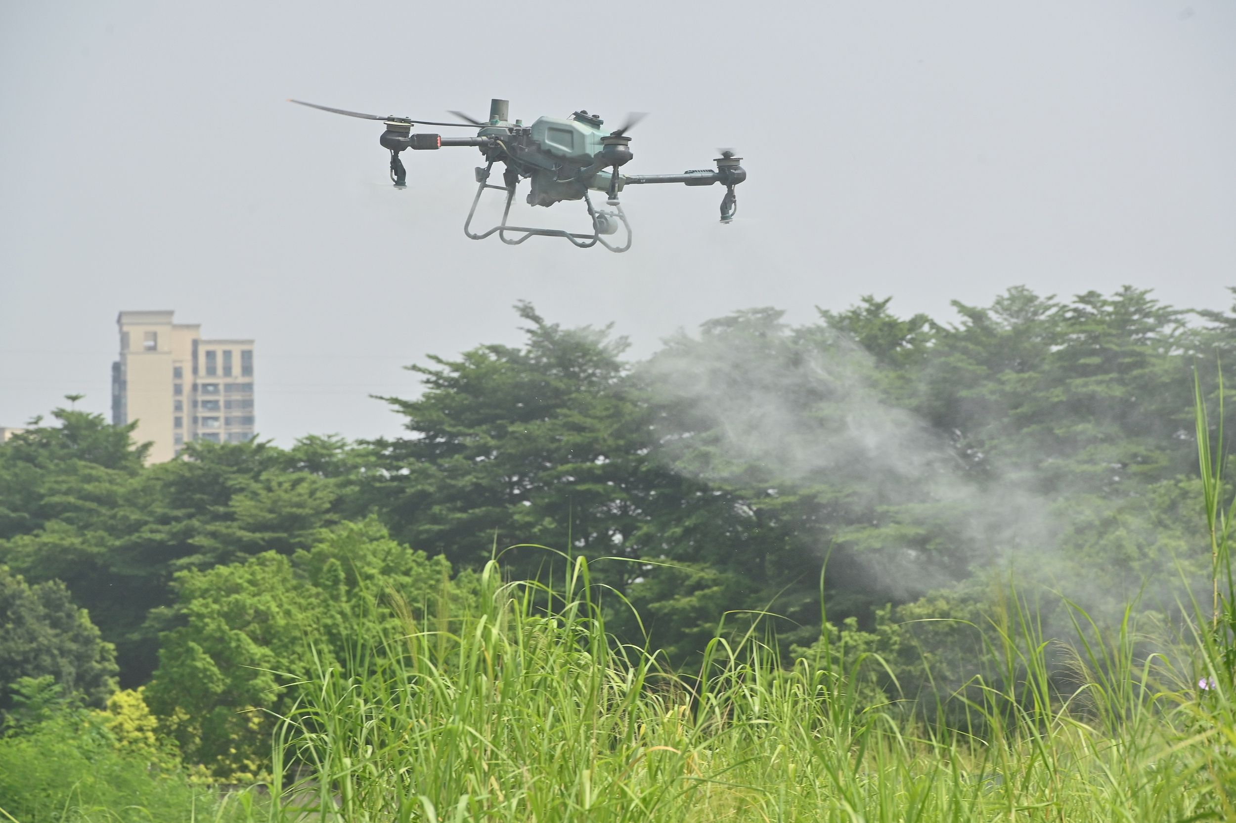▲廣州荔灣區採用無人機大規模噴藥。（圖／CFP）