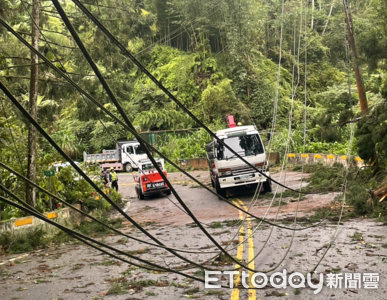 快訊／楊柳颱風狂掃南投！樹竹壓斷電線桿　逾6400戶停電搶修中