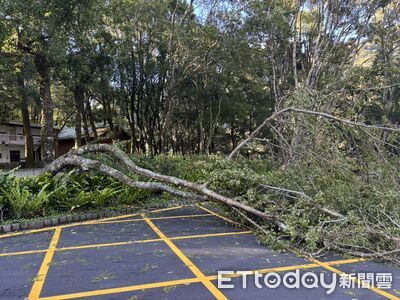 楊柳颱風橫掃過境　合歡山、奧萬大森林遊樂區8/15開園