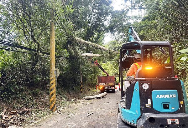 ▲楊柳颱風強勁風勢為桃園市造成多處饋線跳脫停電，台電桃園區派員搶修中。（圖／台電桃園營業處提供）