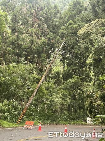 ▲溪頭投151線17.5公里處樹竹倒塌、壓損電線桿。（圖／台電南投區處提供）