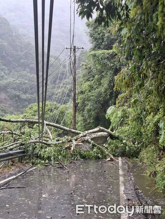 ▲仁愛鄉都達村一帶大樹壓斷跳線，台電線路工作班已搶修復電。（圖／記者高堂堯攝）