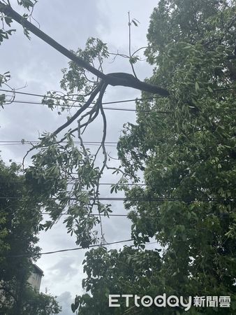 ▲楊柳颱風造成台南沿海與山區多處停電，台電派遣搶修人員全力作業，確保居民用電安全。（記者林東良翻攝，下同）