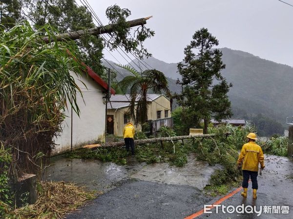 ▲▼  楊柳颱風襲嘉義　10級強陣風衝擊沿海與山區供電　台電全力應變  。（圖／台電嘉義區處提供）