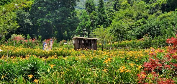 ▲▼晶泉丰旅初秋專案。（圖／業者提供）