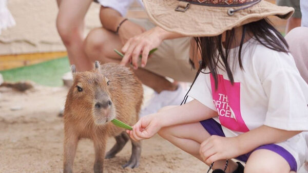 ▲▼晶泉丰旅初秋專案。（圖／業者提供）