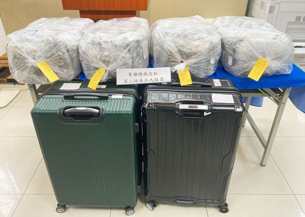 ▲法國籍男子今年4月間自泰國曼谷機場至桃園機場轉機時，被海關與航警人員當場查獲2行李箱夾藏33.4公斤二級毒品大麻。（資料照／航警局提供）